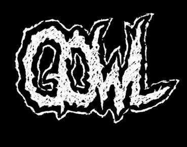 d1d05-gowl