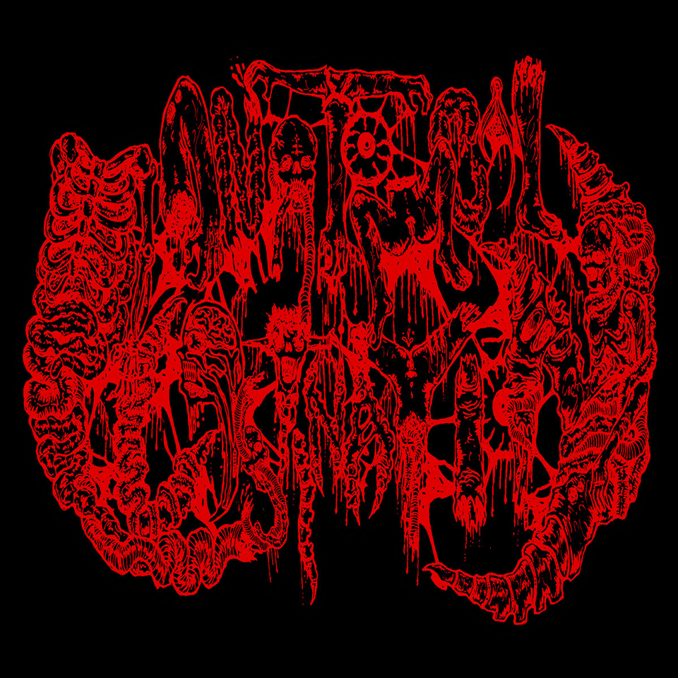 Anatomical_Plastination_-_Logo