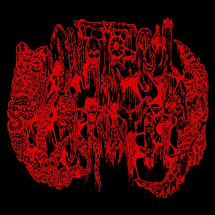 Anatomical_Plastination_-_Logo